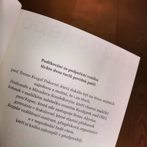 Tereza Kvapil Pokorná